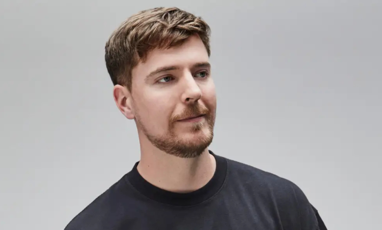 mr beast net worth